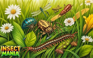 Insect Mania